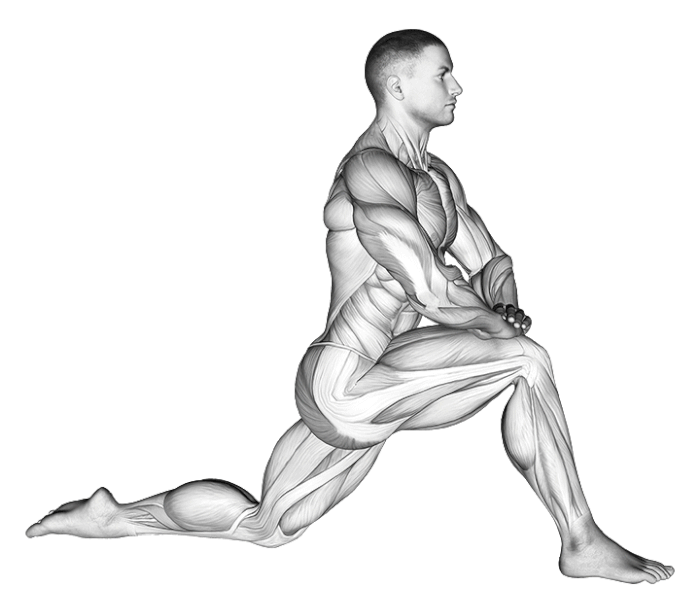 étirement des fléchisseurs de hanche à genoux