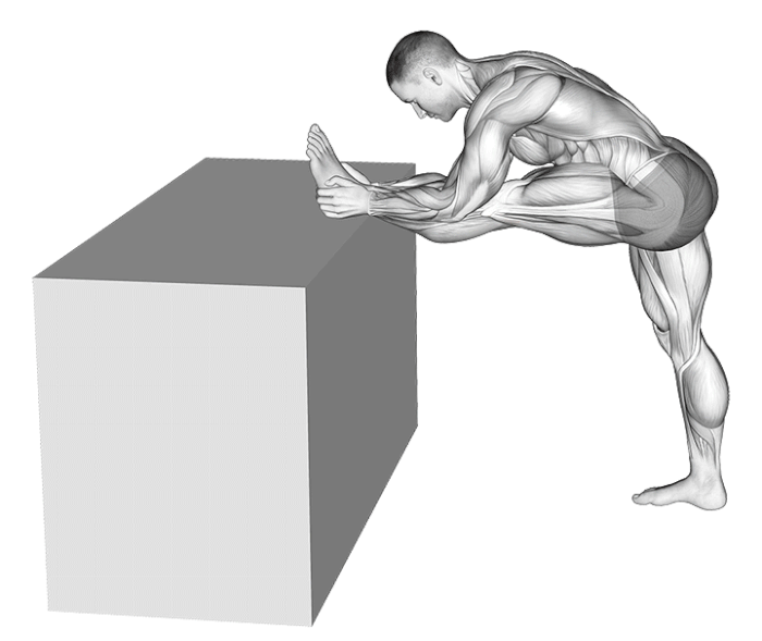 étirement jambe tendue surélevée