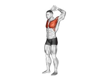 étirement pectoral bras levés