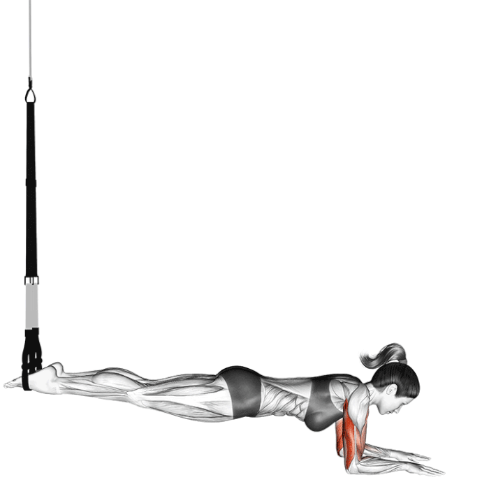 extensions de triceps en suspension
