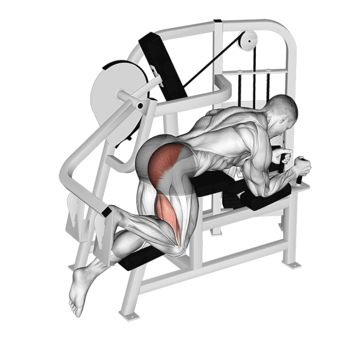 extension de hanche à la machine