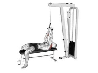 face pull couché à la poulie cat