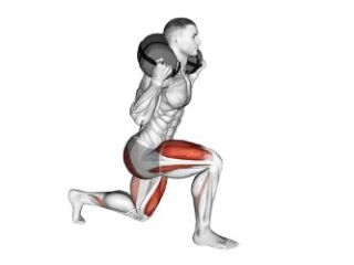 fentes marchees avec sandbag cat