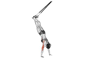 handstand push-up suspendu
