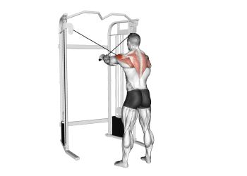 oiseau à la poulie à 45 cat