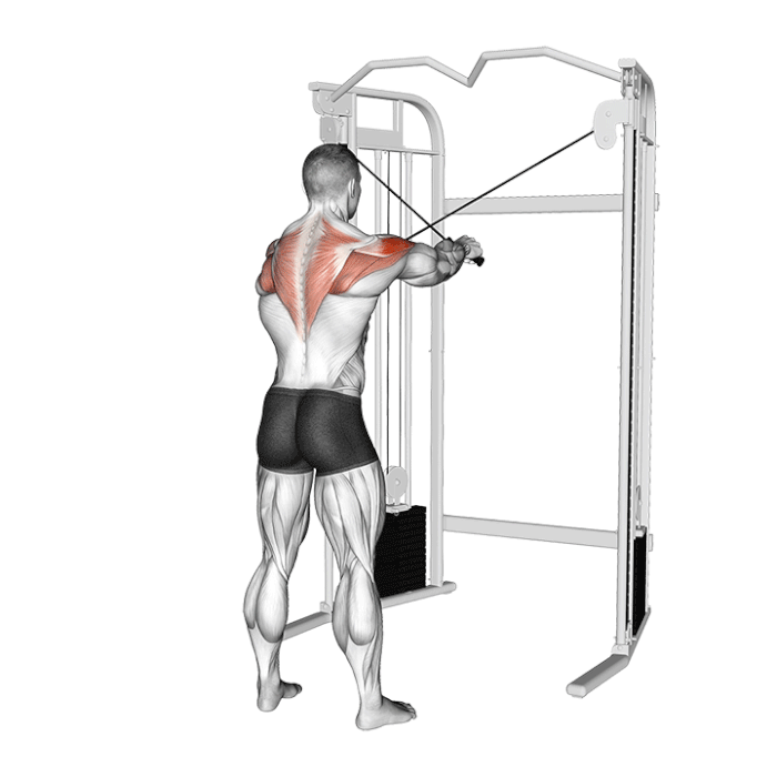 oiseau à la poulie à 45