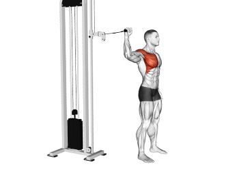 rotations internes à 90° à la poulie cat