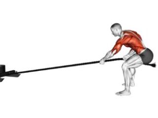 sled pull cat
