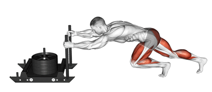 Sled Push Comment Progresser 2x Plus Vite Sled Push Comment Progresser 2x Plus Vite