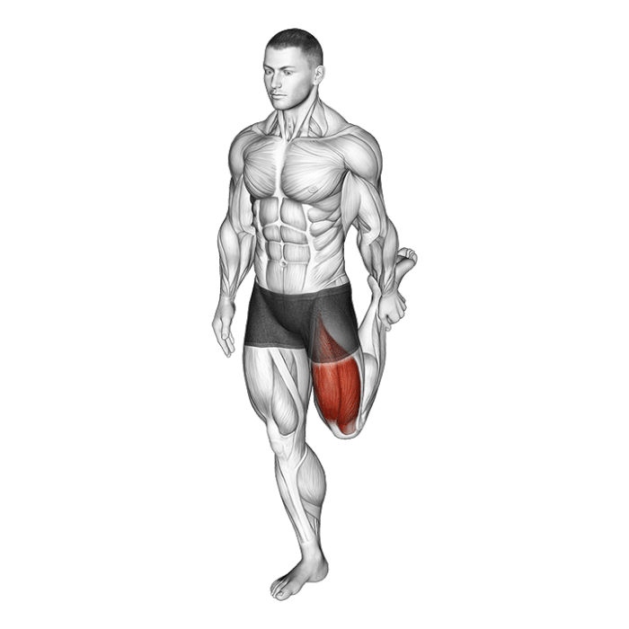étirement du quadriceps debout