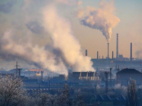 pollution air la vitamine c