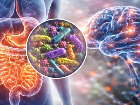 microbiote et alzheimer