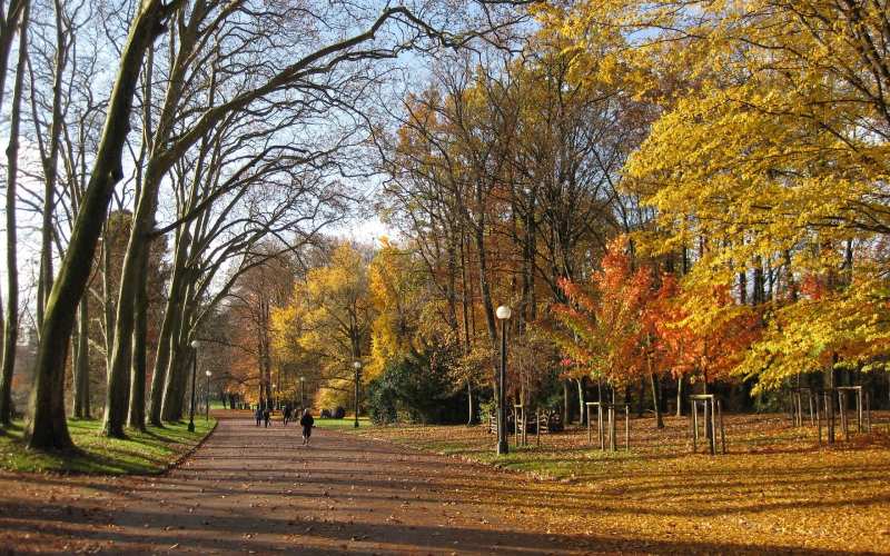 parc tete or