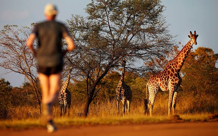 marathon big five