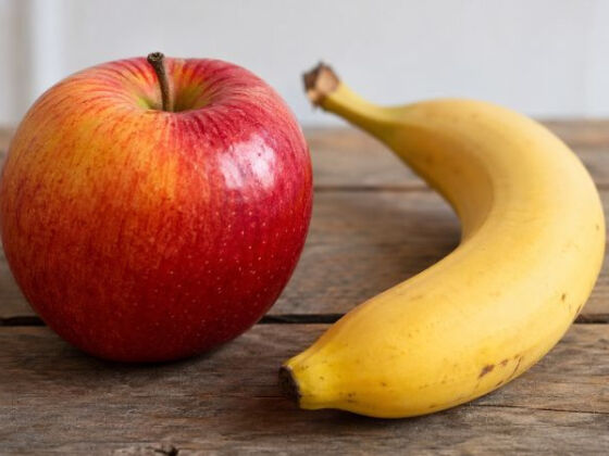 fibres alimentaires classification