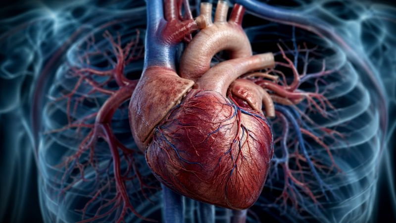 insuffisance cardiaque decouverte remet tout question