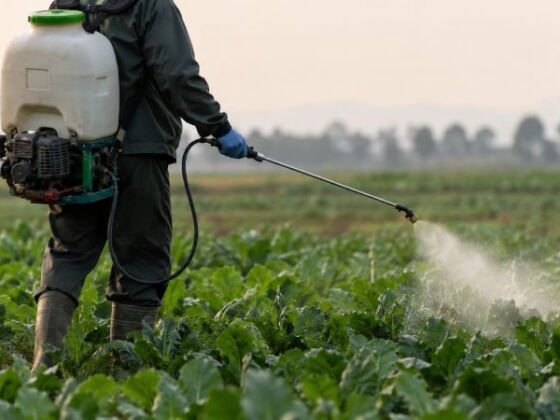 cancer colorectal pesticide cas chez les jeunes