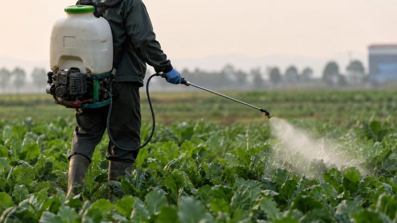 cancer colorectal pesticide cas chez les jeunes