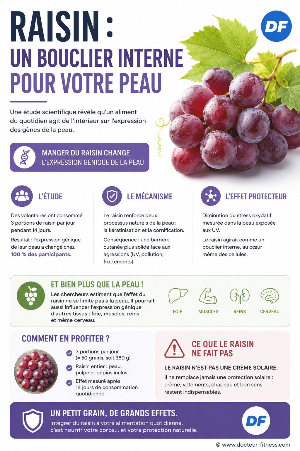 infographie ce fruit pourrait proteger la peau contre les uv