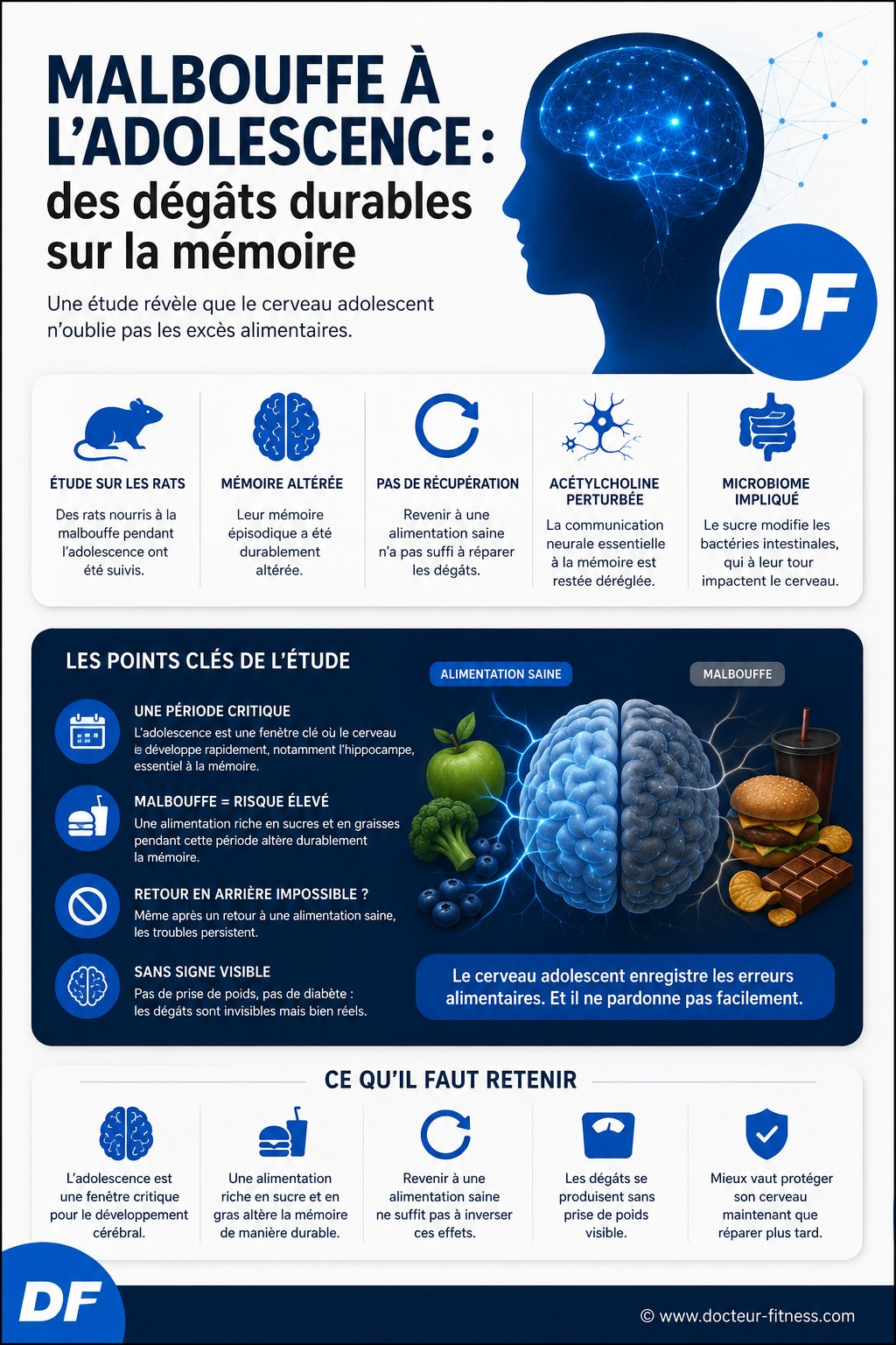 infographie le sucre detruit la memoire des ados
