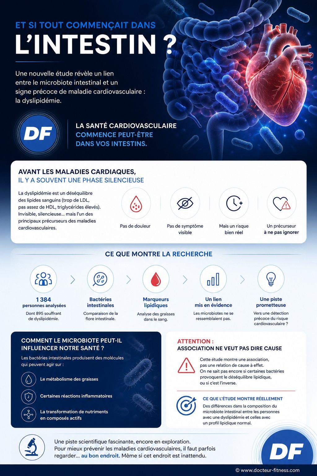 infographie maladies cardiovasculaires probleme intestin