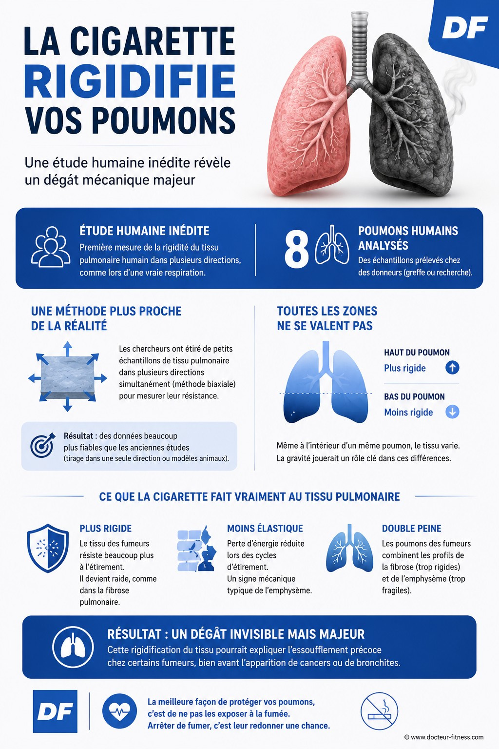 infographie tabac cigarette effet poumons