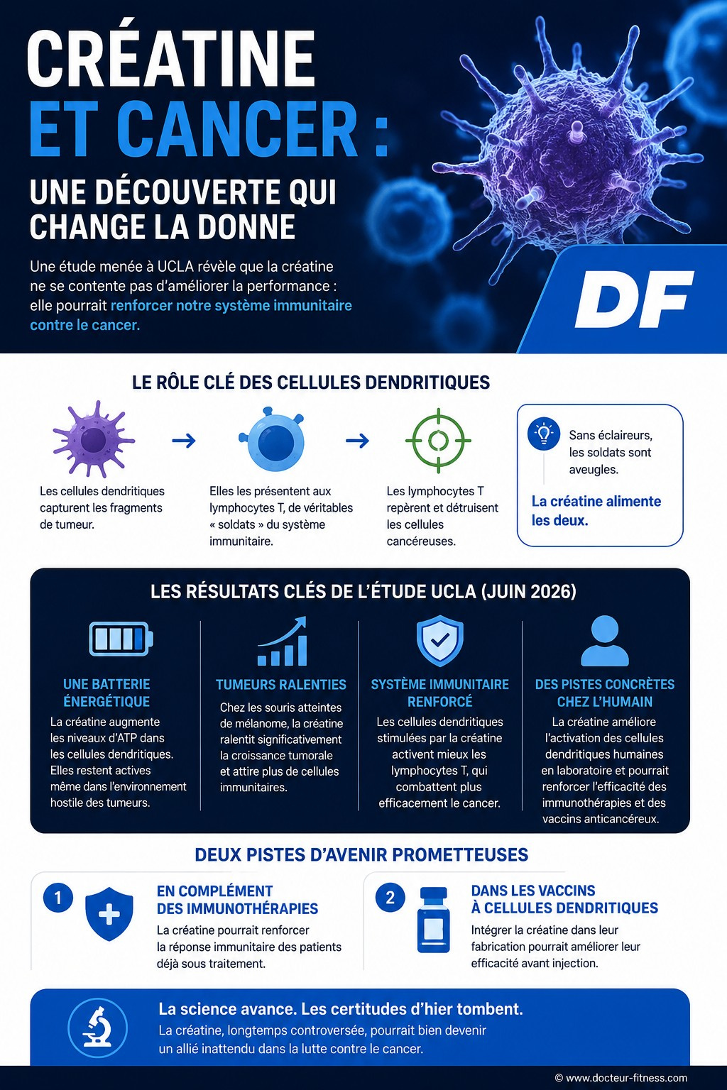 infographie creatine contre cancer