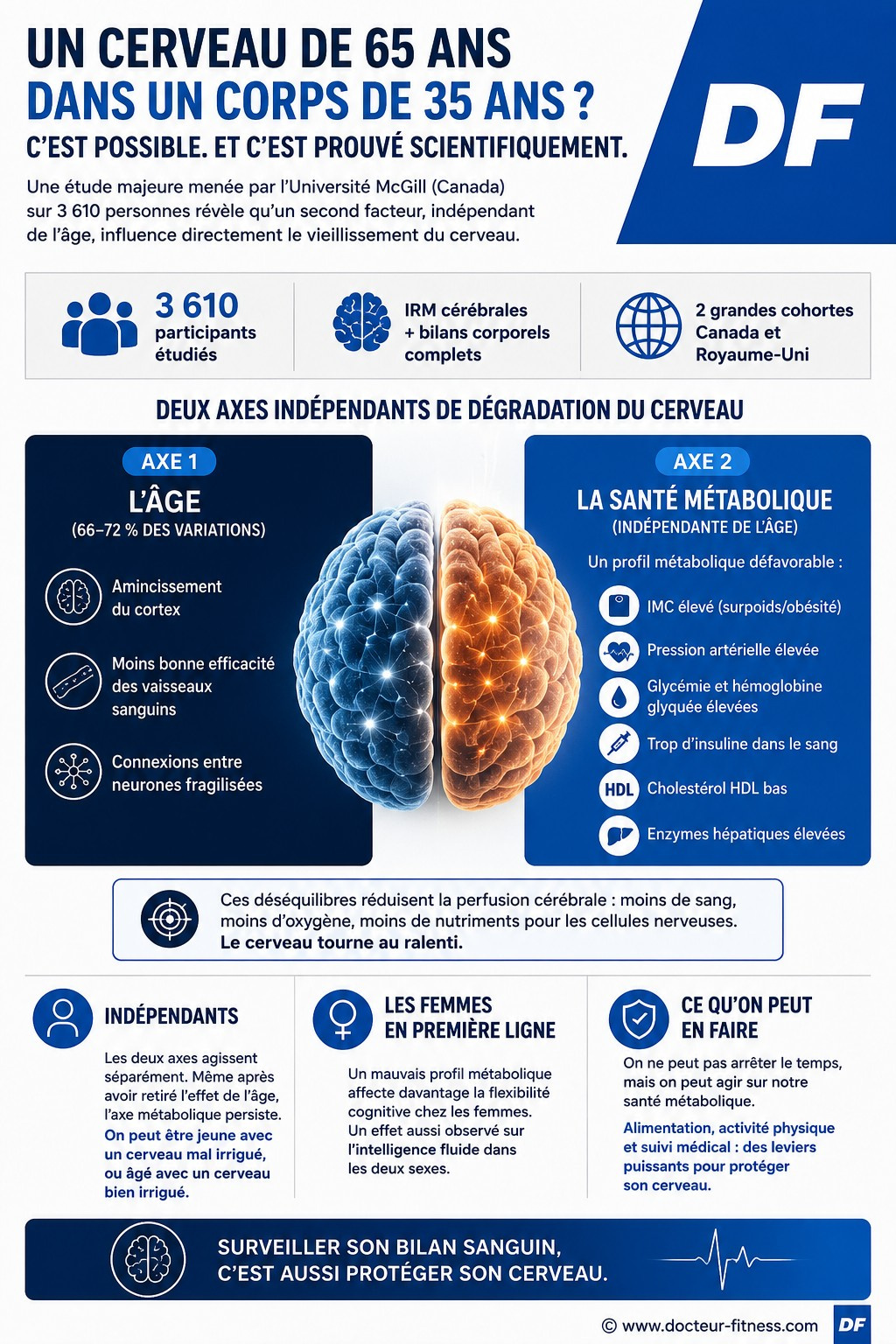 infographie surpoids et cerveau une etude sur 3 600 personnes revele un lien alarmant