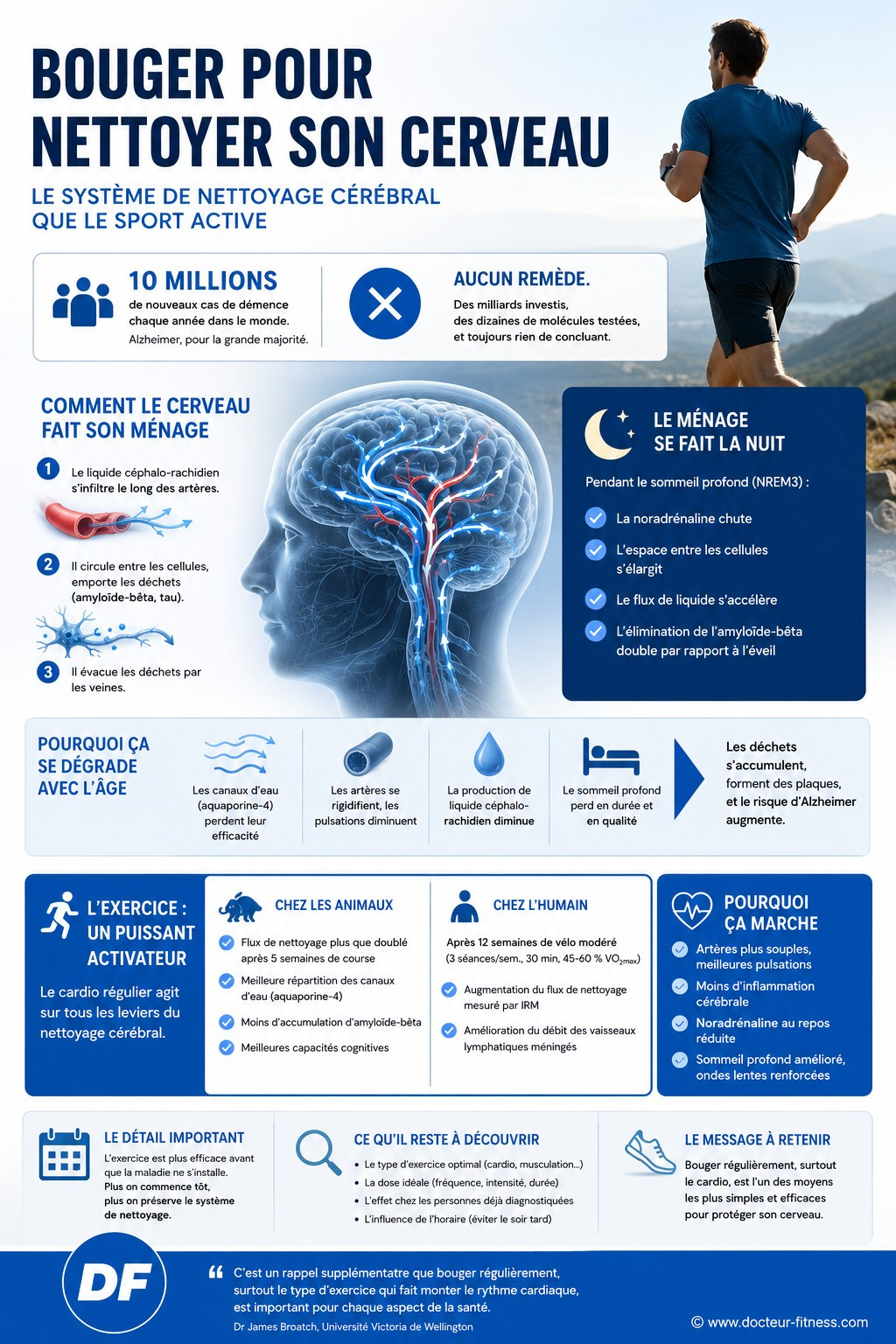 infographie alzheimer sport active mecanisme nettoyage