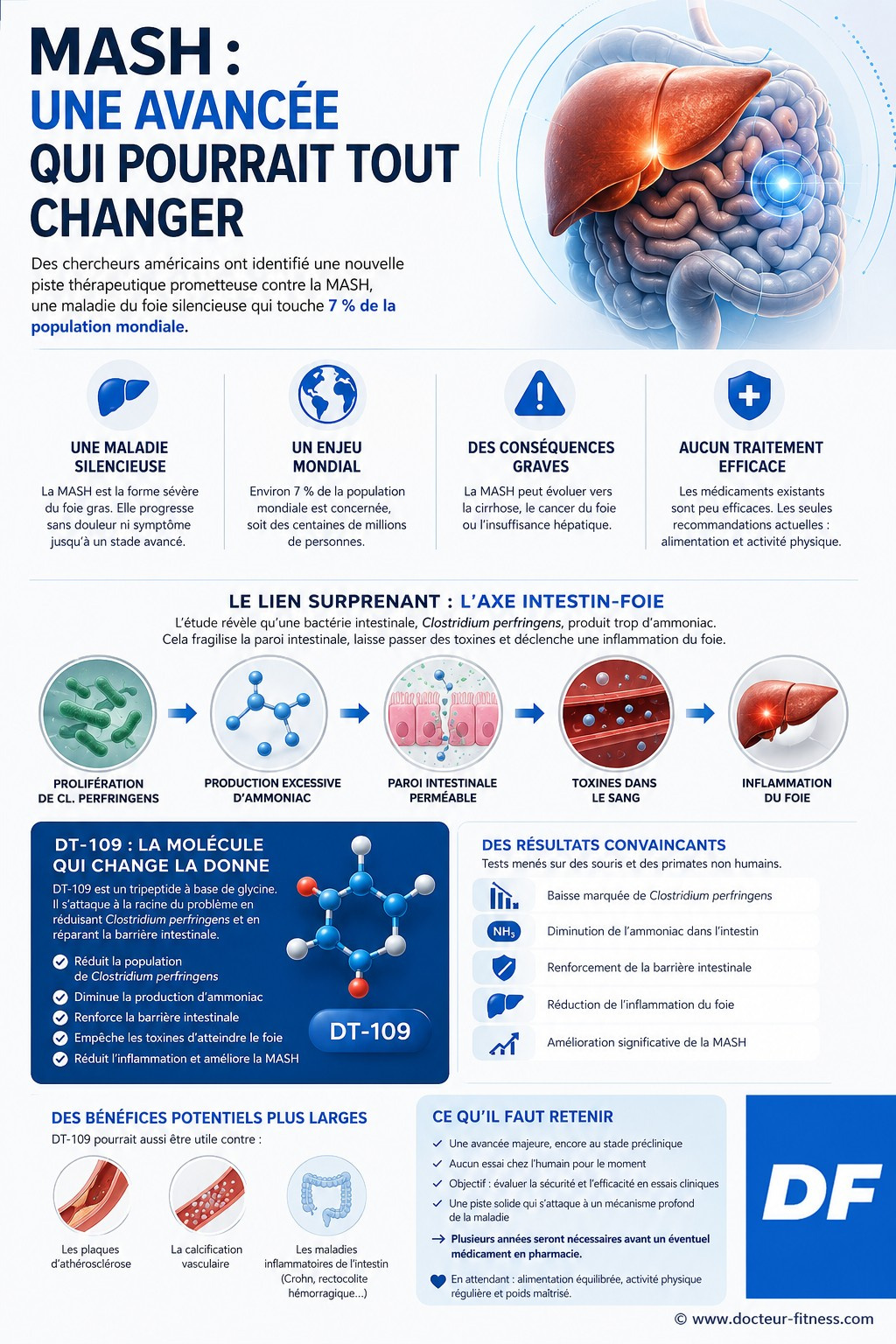 infographie foie gras cette molecule inverse une maladie