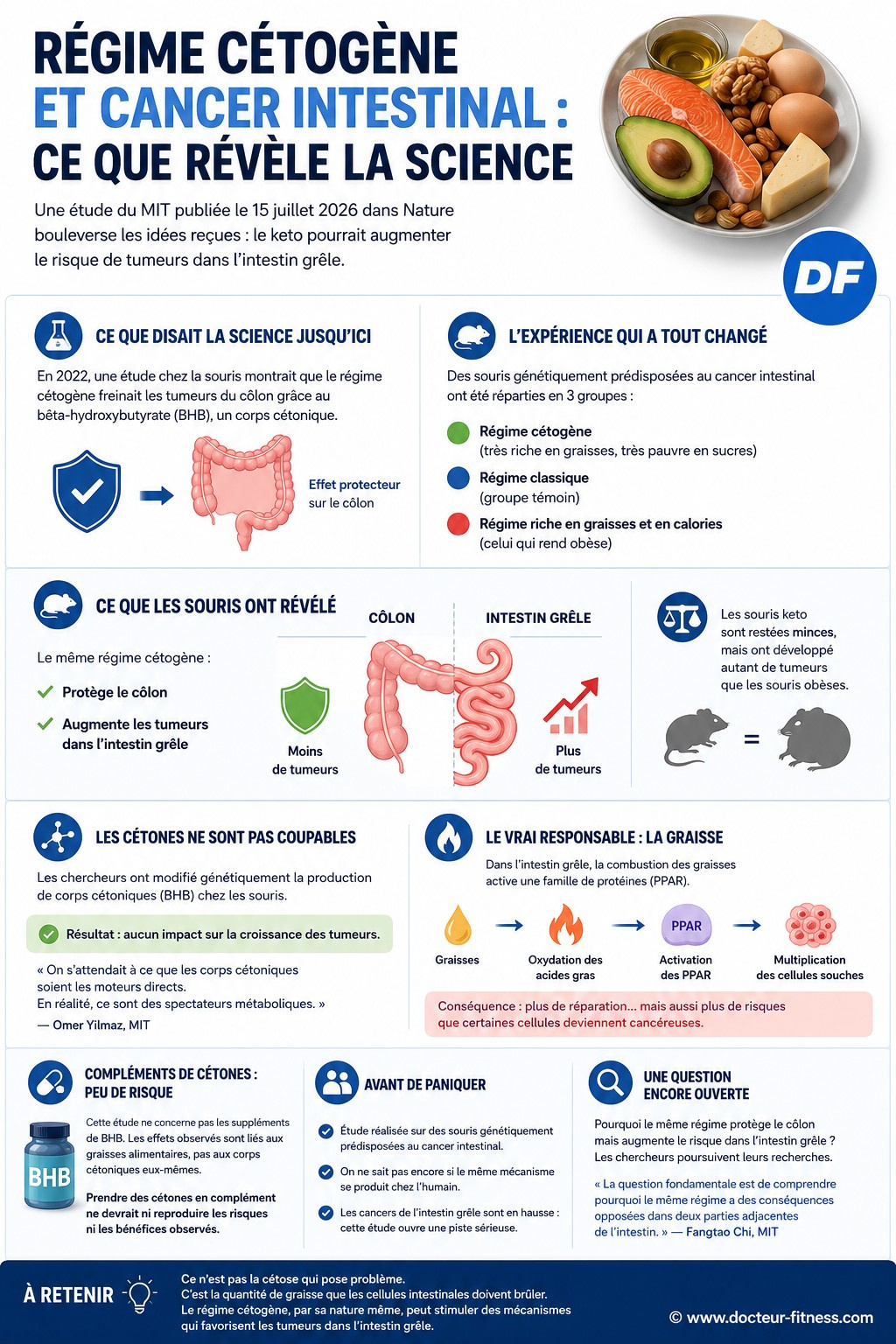 infographie regime cetogene quand la graisse nourrit tumeurs