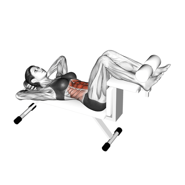 Crunch sur banc : animation du mouvement