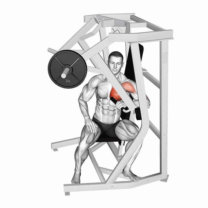 Développé pectoral unilatéral machine : animation du mouvement