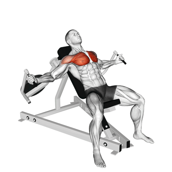Écartés inclines machine : animation du mouvement